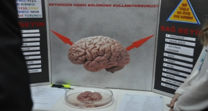 TÜBİTAK 4006 Bilim Fuarı - 10 Mart 2015 Salı - Biga Atatürk Anadolu Lisesi
